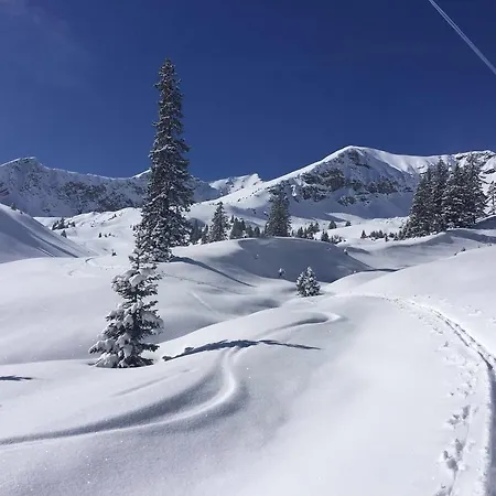 Der Tannenhof 호텔 3*