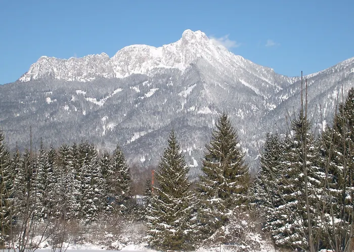 Der Tannenhof - Radfahrerhotel Hotel