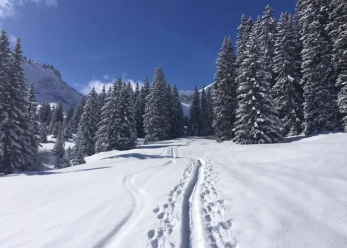 Der Tannenhof - Radfahrerhotel